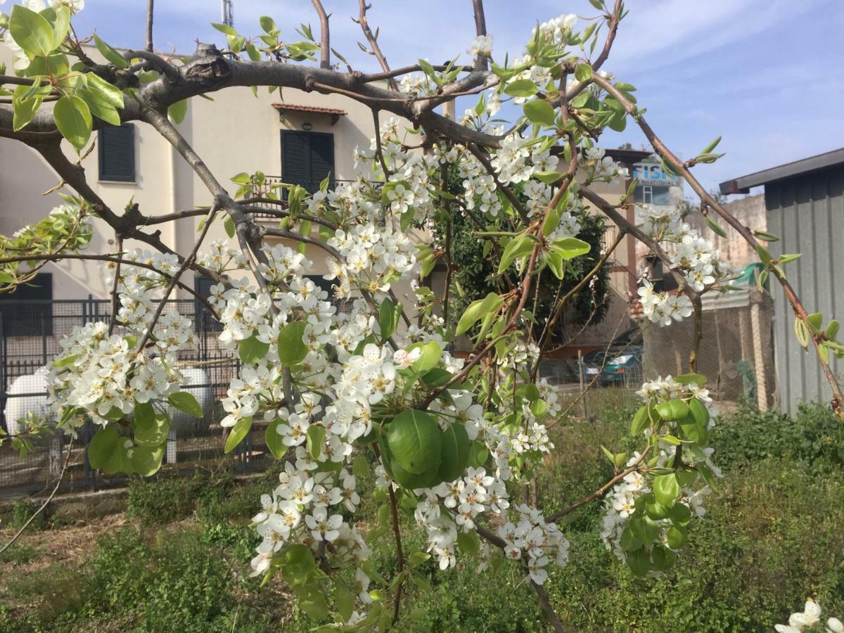 Il Giardino Di Nonno Agostino Bed & Breakfast Castellammare di Stabia Exterior photo