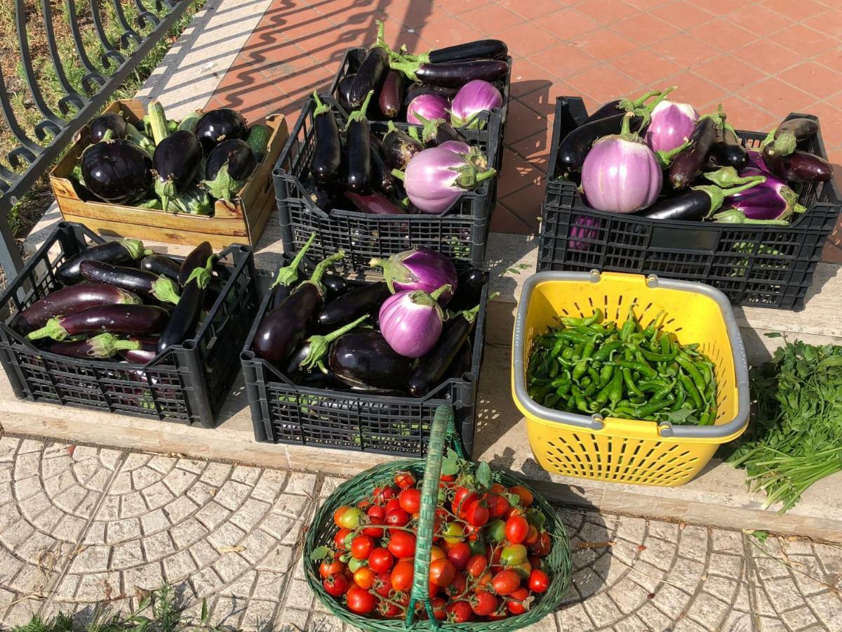 Il Giardino Di Nonno Agostino Bed & Breakfast Castellammare di Stabia Exterior photo